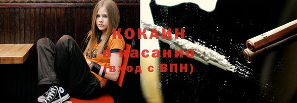 амф Белокуриха